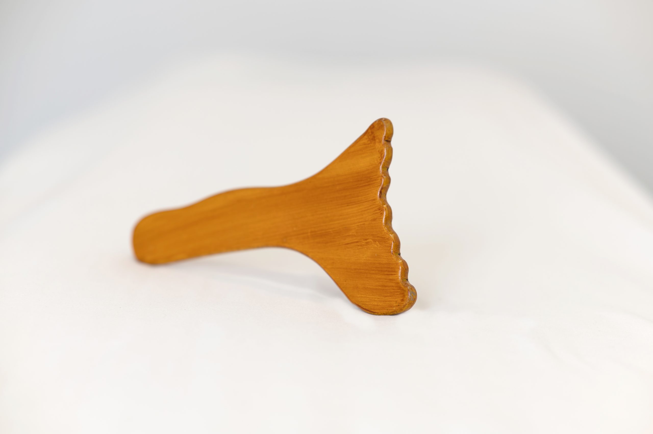 OCA_2949-NEF_DxO_DeepPRIME